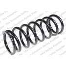 4075762 Fahrwerksfeder