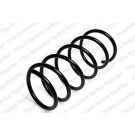 4072924 Fahrwerksfeder