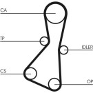 CT614 Zahnriemen CT614 Zahnriemen