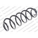 4204275 Fahrwerksfeder