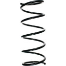 Spidan | Fahrwerksfeder | 55137