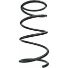 Spidan | Fahrwerksfeder | 87578