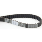 CT824 Zahnriemen CT824 Zahnriemen