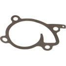 529202 Wasserpumpe, Motorkühlung