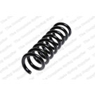 4256857 Fahrwerksfeder