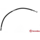 Brembo | Bremsschlauch | T 30 054
