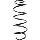 Spidan | Fahrwerksfeder | 55340