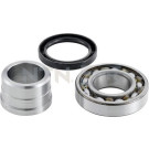 R177.23 Radlagersatz