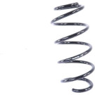 SP3423 Fahrwerksfeder MONROE SPRINGS