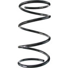 Spidan | Fahrwerksfeder | 55452