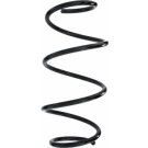 Spidan | Fahrwerksfeder | 87865