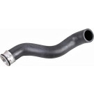 2420989 Kühlerschlauch 2420989 Kühlerschlauch