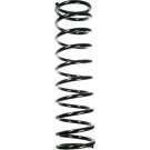 Spidan | Fahrwerksfeder | 49715