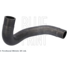 Blue Print | Kühlerschlauch | ADBP930011