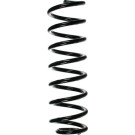 Spidan | Fahrwerksfeder | 55734