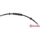 Brembo | Bremsschlauch | T 24 125