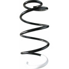 Spidan | Fahrwerksfeder | 87246