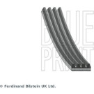 Blue Print | Keilrippenriemen | AD04R1155