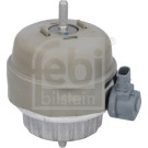 febi bilstein | Lagerung, Motor | 196219