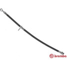 Brembo | Bremsschlauch | T 28 090