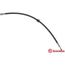 Brembo | Bremsschlauch | T 50 061