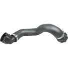 2420194 Kühlerschlauch ORIGINAL ERSATZTEIL