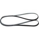1 987 946 259 Keilrippenriemen