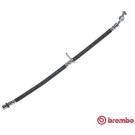 Brembo | Bremsschlauch | T 83 130