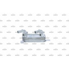 NRF | Ölkühler, Automatikgetriebe | 31778