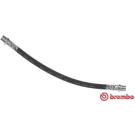 Brembo | Bremsschlauch | T 11 006