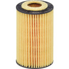 Hengst Filter | Ölfilter | E45H D113