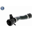 Vaico | Kühlerschlauch | V20-1293