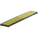 MANN-FILTER FP 8430 Innenraumfilter FreciousPlus Aktivkohlefilter mit Polyphenol, antibakteriell, Feinstaubfilter (PM 2.5)