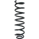 Spidan | Fahrwerksfeder | 85218