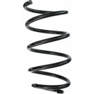 Spidan | Fahrwerksfeder | 87194