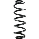Spidan | Fahrwerksfeder | 88341