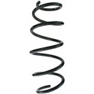 Spidan | Fahrwerksfeder | 87487