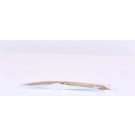 95622 Trockner, Klimaanlage