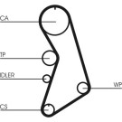 CT909WP5 Wasserpumpe + Zahnriemensatz CT909WP5 Wasserpumpe + Zahnriemensatz
