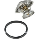 NRF | Thermostat, Kühlmittel | 725062