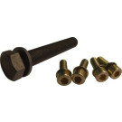 MS10 Schraubensatz, Riemenscheibe-Kurbelwelle