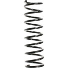 Spidan | Fahrwerksfeder | 49326