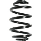 Spidan | Fahrwerksfeder | 55073