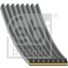 FEBI BILSTEIN 184928 Keilrippenriemen