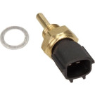 21-0245 Sensor, Kühlmitteltemperatur