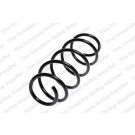 4095065 Fahrwerksfeder