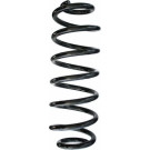 Spidan 2 x SPIDAN Fahrwerksfeder 86492