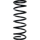 Spidan | Fahrwerksfeder | 56777