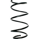 Spidan | Fahrwerksfeder | 49786