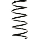 Spidan | Fahrwerksfeder | 49282
